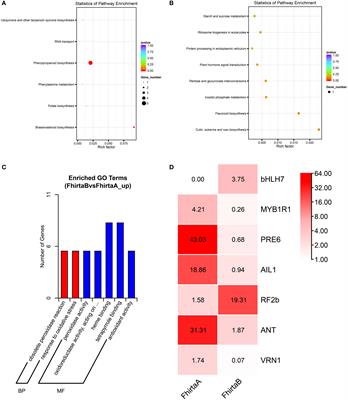 Multi-omics analysis the differences of VOCs terpenoid synthesis pathway in maintaining obligate mutualism between Ficus hirta Vahl and its pollinators